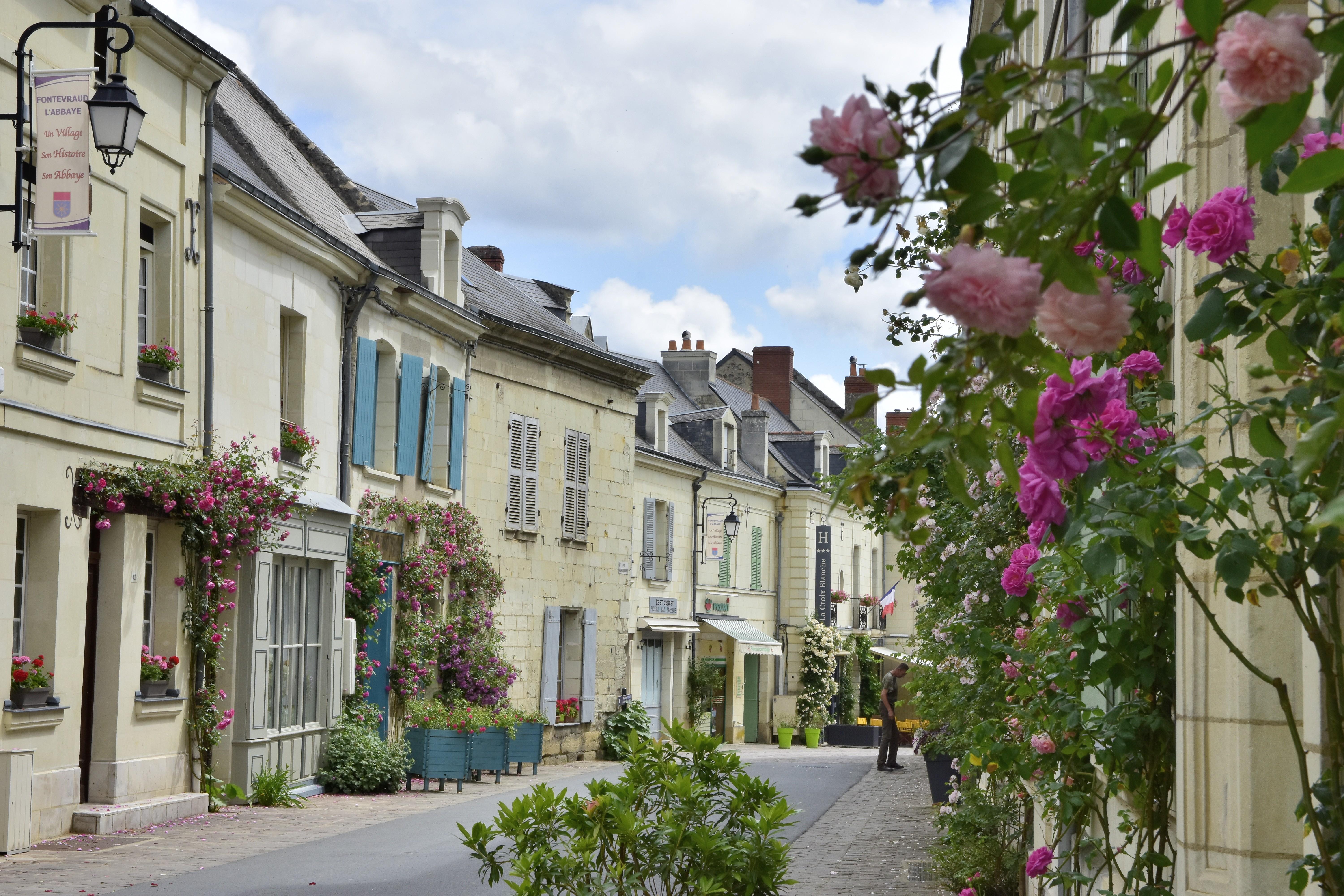 Logis Hotel La Croix Blanche Fontevraud Luaran gambar
